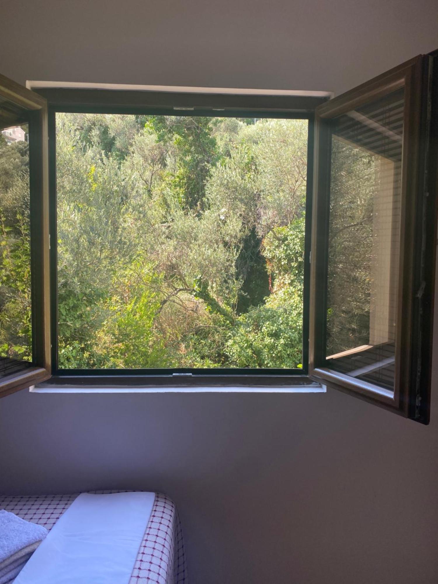 Apartments Ivan Petrovac Εξωτερικό φωτογραφία