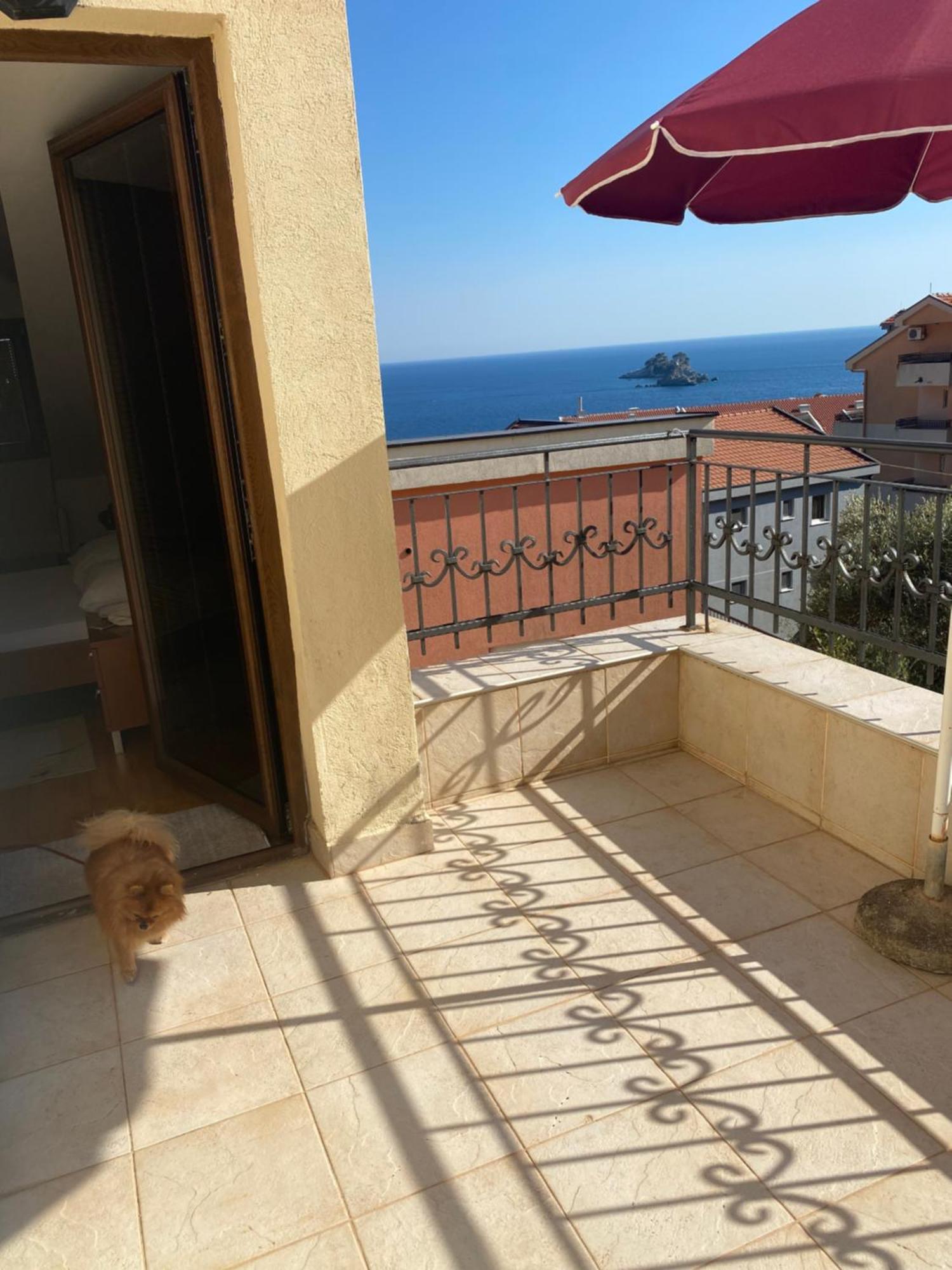 Apartments Ivan Petrovac Εξωτερικό φωτογραφία