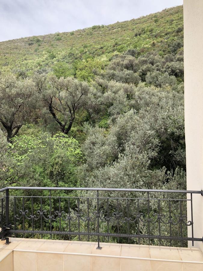Apartments Ivan Petrovac Εξωτερικό φωτογραφία